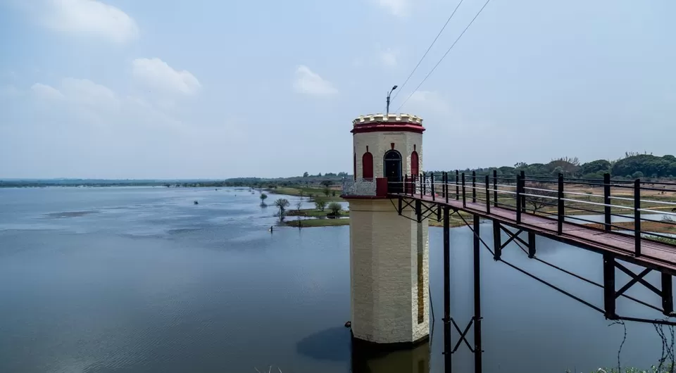Photo of Day trip to Hesaraghatta lake and Grasslands | Bangalore by roottraveller
