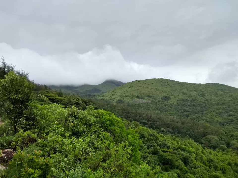 Photo of One day mansoon trek to Tadianamol by roottraveller