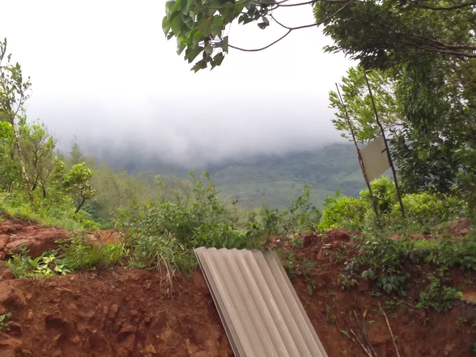 Photo of One day mansoon trek to Tadianamol by roottraveller