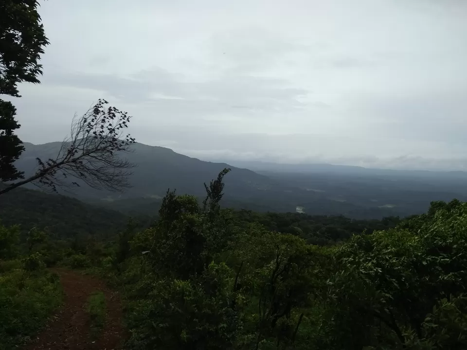 Photo of One day mansoon trek to Tadianamol by roottraveller