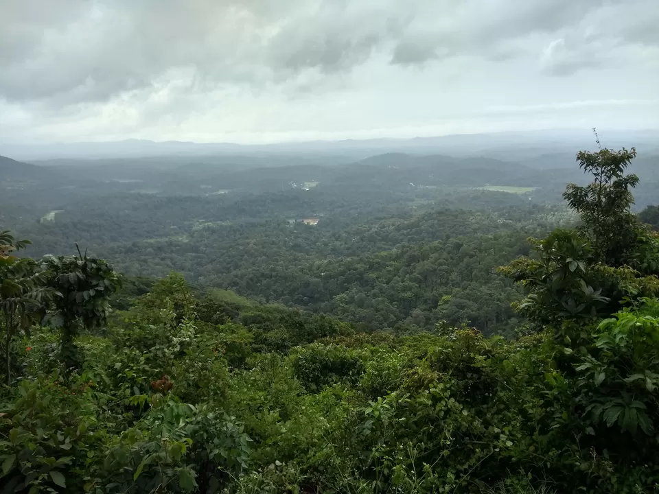 Photo of One day mansoon trek to Tadianamol by roottraveller