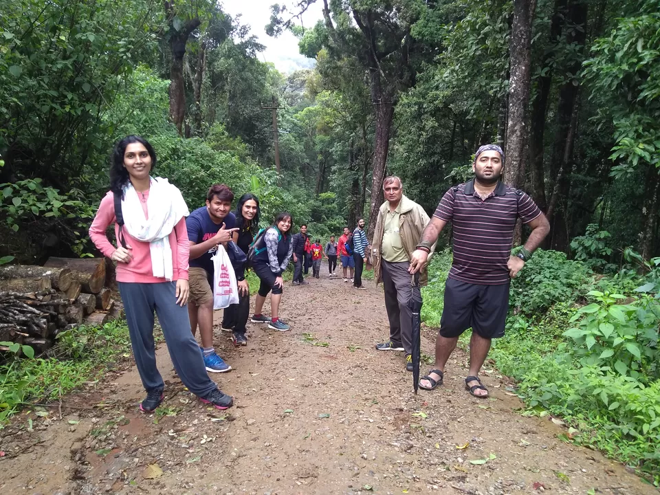 Photo of One day mansoon trek to Tadianamol by roottraveller