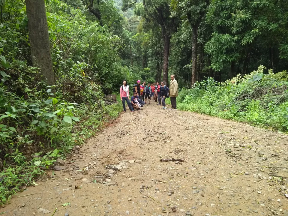 Photo of One day mansoon trek to Tadianamol by roottraveller