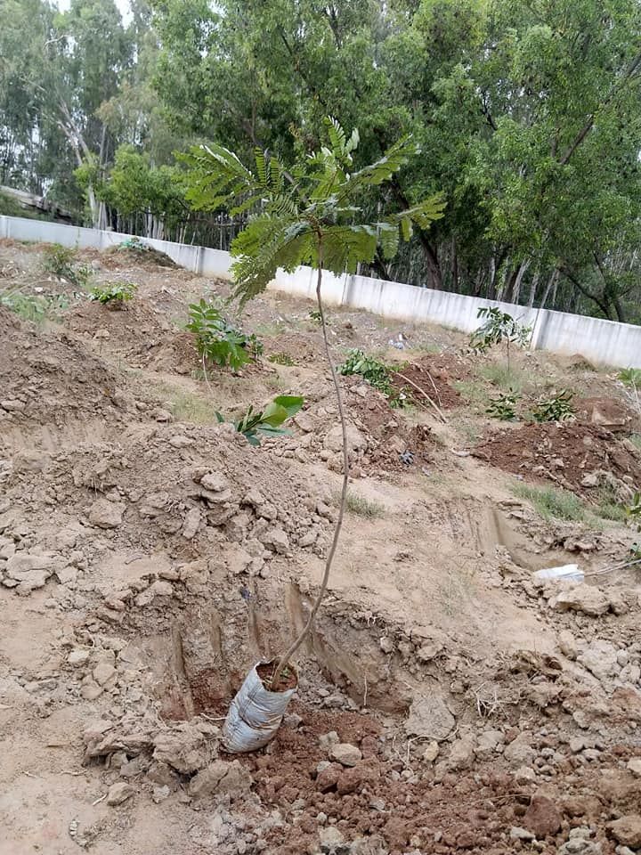 Photo of Gunjur Palya, Bengaluru, Karnataka, India by roottraveller