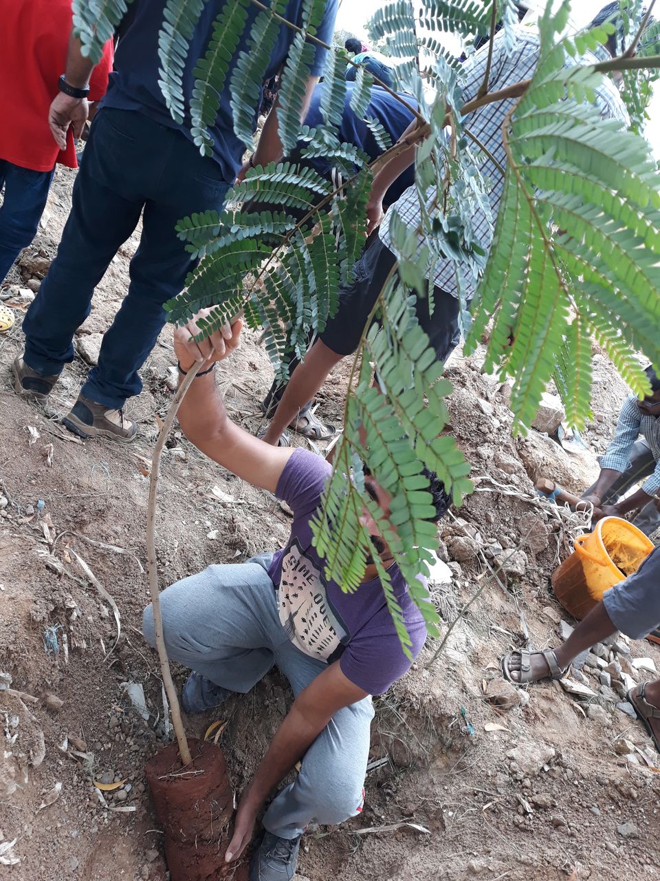 Photo of Weekend Plantation at Govt School, Gunjur Palya, Bangalore by roottraveller