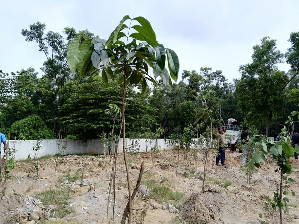 Photo of Weekend Plantation at Govt School, Gunjur Palya, Bangalore by roottraveller