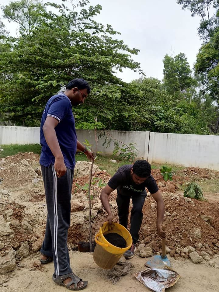 Photo of Weekend Plantation at Govt School, Gunjur Palya, Bangalore by roottraveller