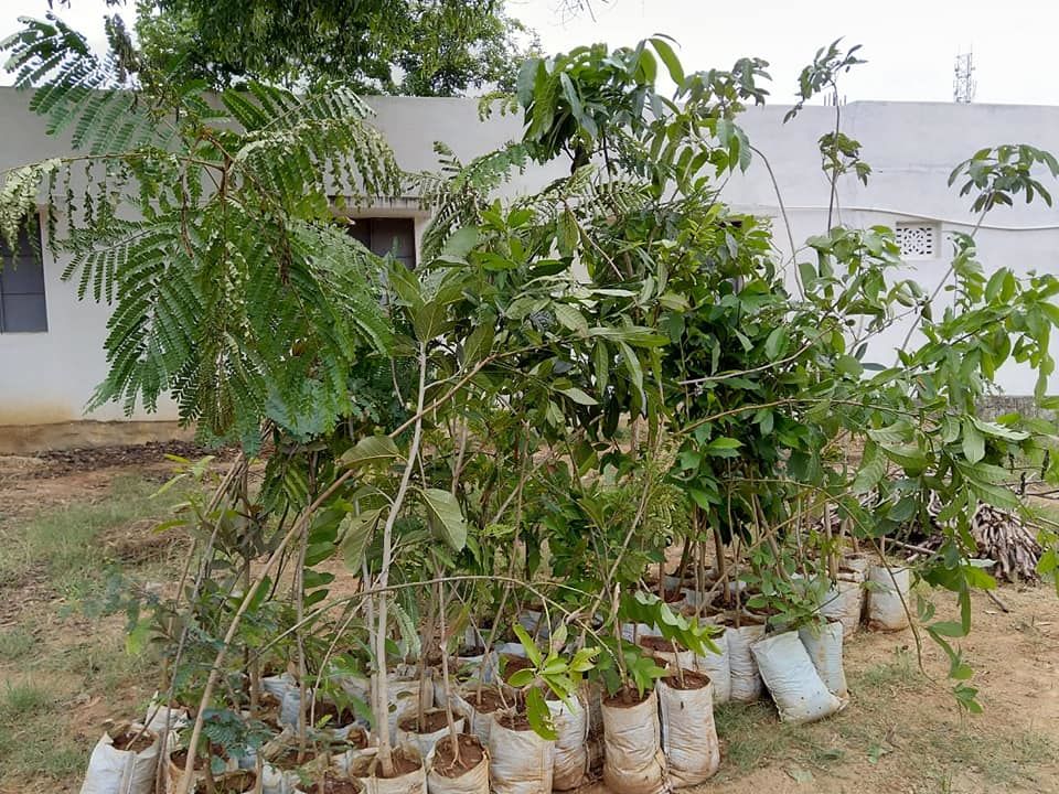 Photo of Weekend Plantation at Govt School, Gunjur Palya, Bangalore by roottraveller