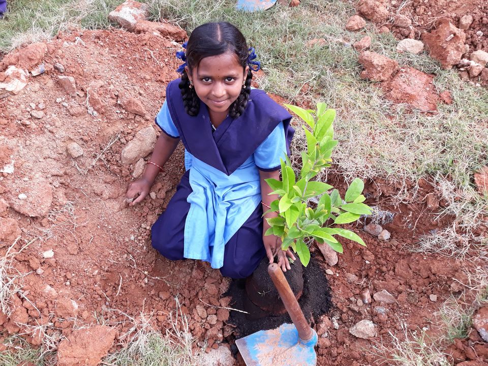 Photo of Weekend Plantation at Govt School, Gunjur Palya, Bangalore by roottraveller