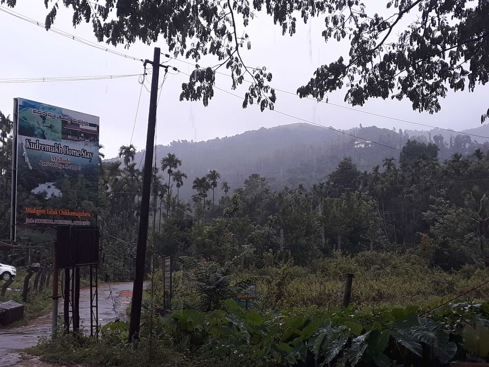 Photo of Two days mansoon Trek to Kudremukh 3/5 by roottraveller