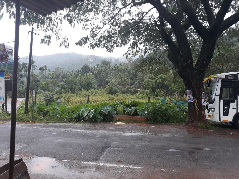 Photo of Two days mansoon Trek to Kudremukh 2/5 by roottraveller
