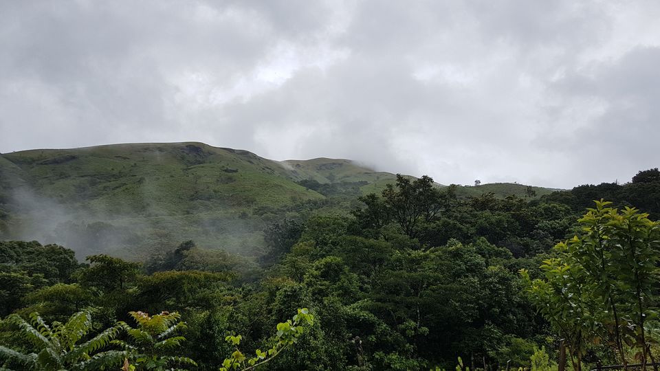 Photo of Bangalore, Karnataka, India by roottraveller