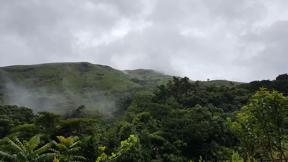 Photo of Bangalore, Karnataka, India by roottraveller