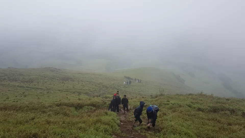 Photo of Kudremukha Peak, Karnataka, India by roottraveller