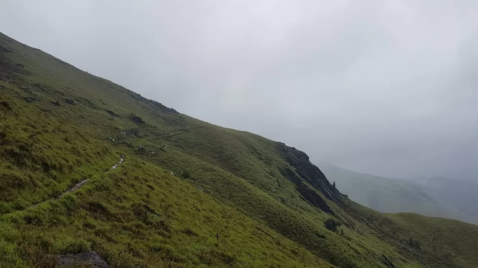 Photo of Kudremukha Peak, Karnataka, India by roottraveller