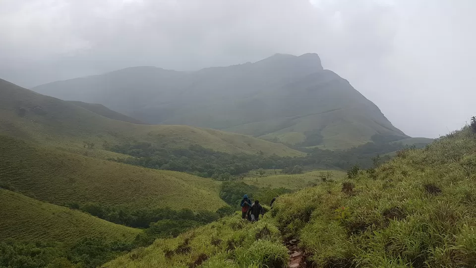 Photo of Kudremukha Peak, Karnataka, India by roottraveller