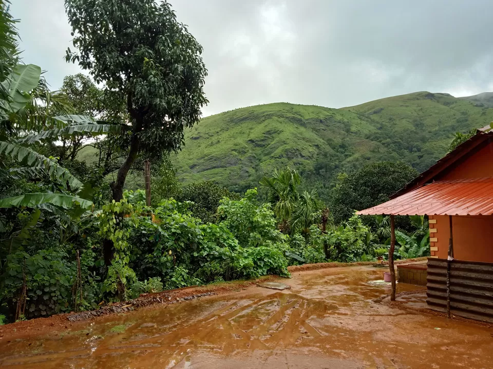 Photo of Kudremukha Peak, Karnataka, India by roottraveller