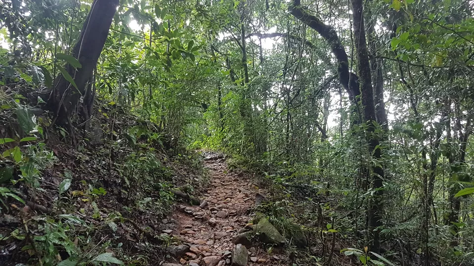 Photo of Kudremukha Peak, Karnataka, India by roottraveller