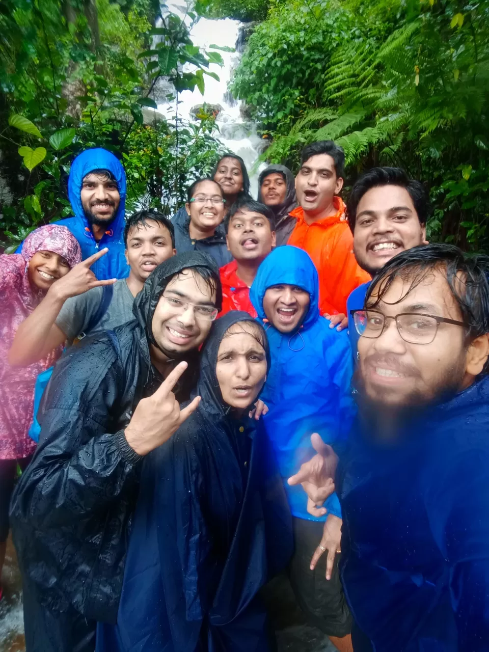 Photo of Two days mansoon Trek to Kudremukh by roottraveller