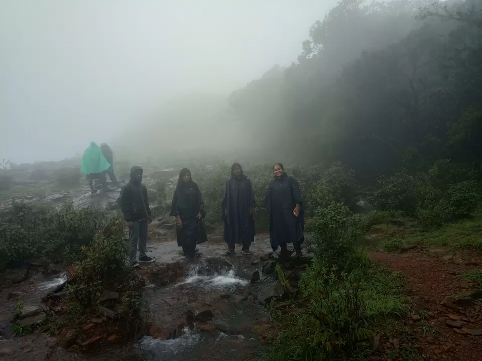 Photo of Kudremukha Peak, Karnataka, India by roottraveller