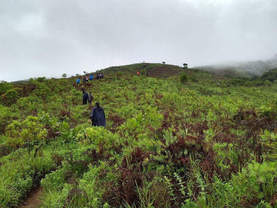 Photo of Two days mansoon Trek to Kudremukh by roottraveller