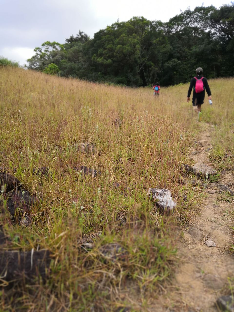 Photo of 2 days trek to Narasimha Parvatha, Seetha Falls and Kapu beach by roottraveller