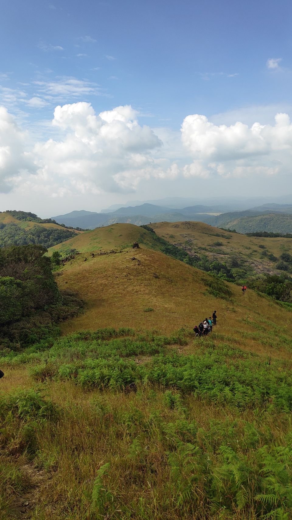 Photo of 2 days trek to Narasimha Parvatha, Seetha Falls and Kapu beach by roottraveller