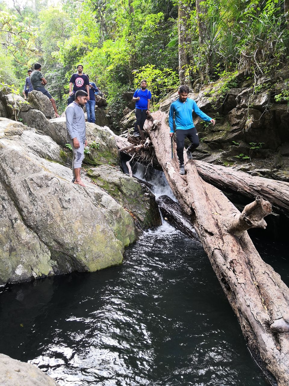 Photo of 2 days trek to Narasimha Parvatha, Seetha Falls and Kapu beach by roottraveller