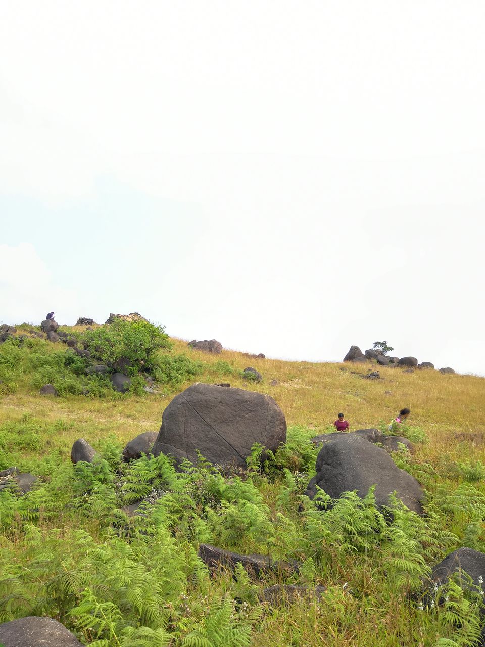 Photo of 2 days trek to Narasimha Parvatha, Seetha Falls and Kapu beach by roottraveller