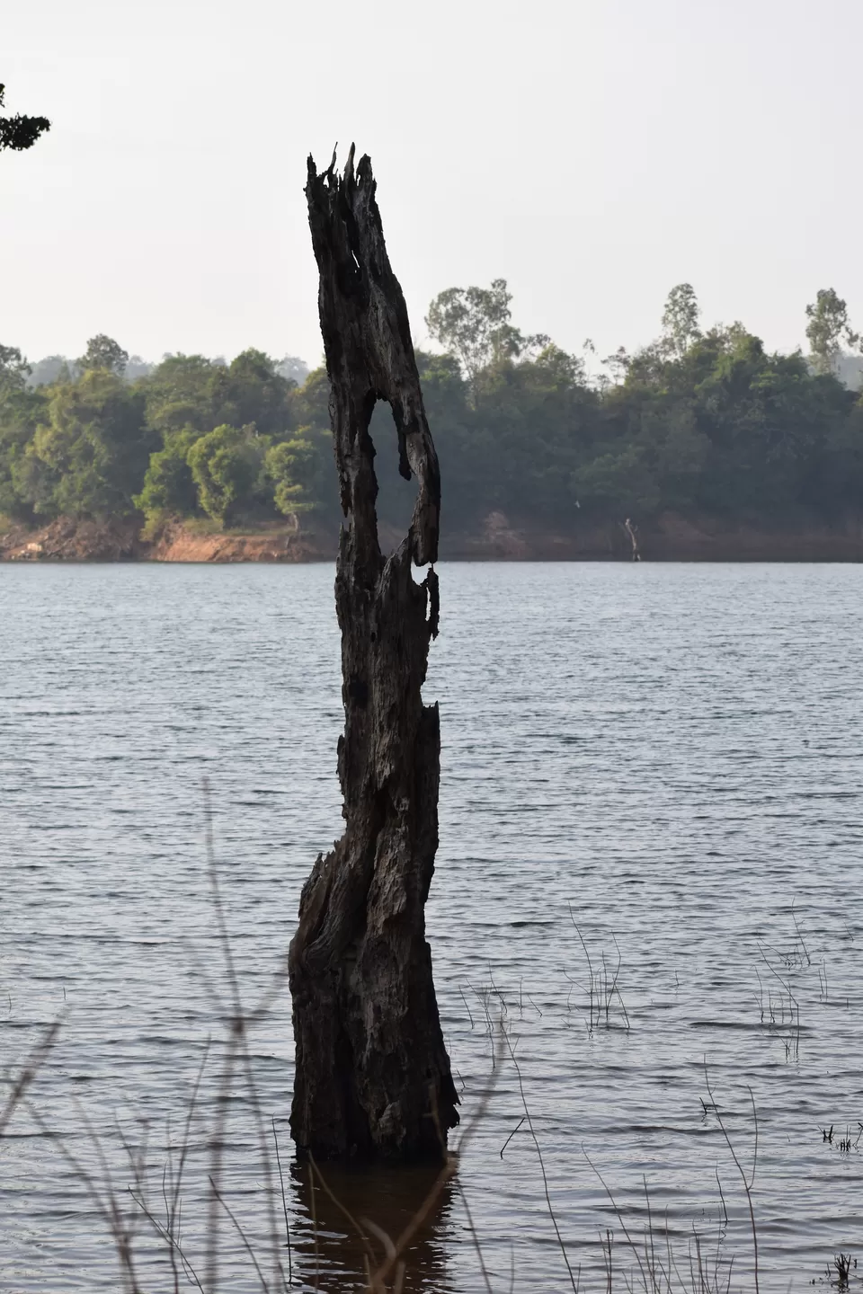 Photo of Shivamogga, Karnataka, India by roottraveller