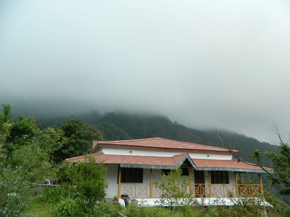 Photo of A Jewel Tucked in the Himalayas - Pangot by Travel Partners