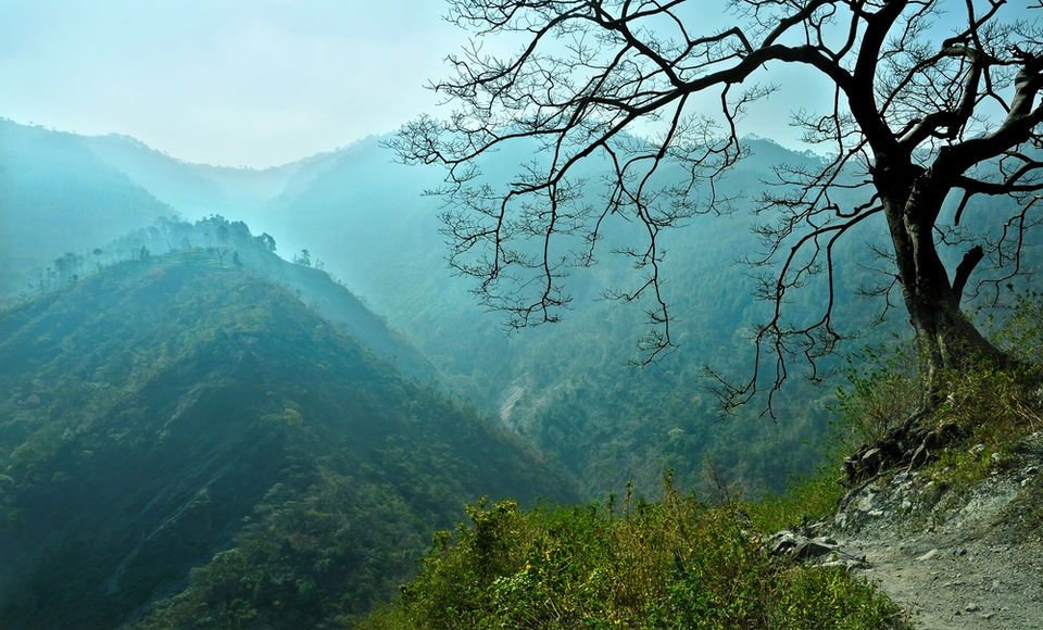 Photo of A Jewel Tucked in the Himalayas - Pangot by Travel Partners