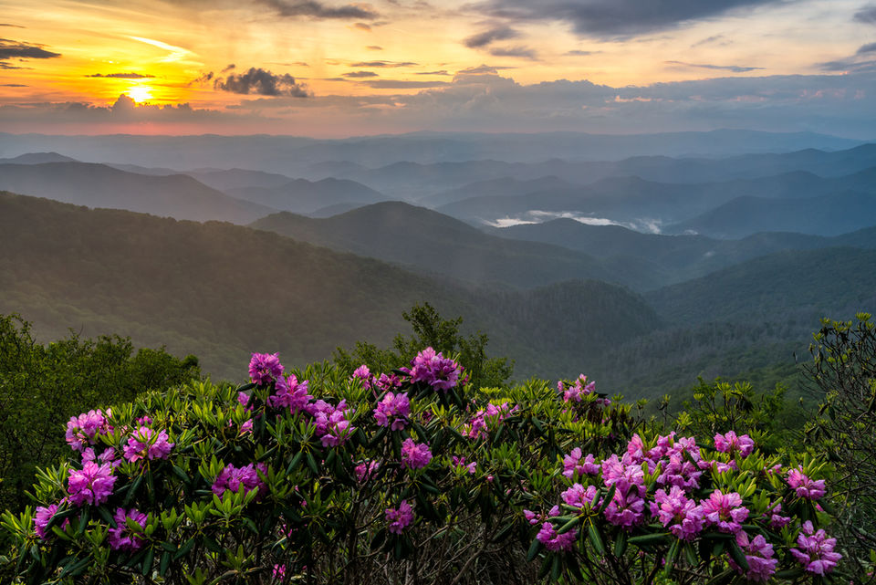 Photo of A Jewel Tucked in the Himalayas - Pangot by Travel Partners
