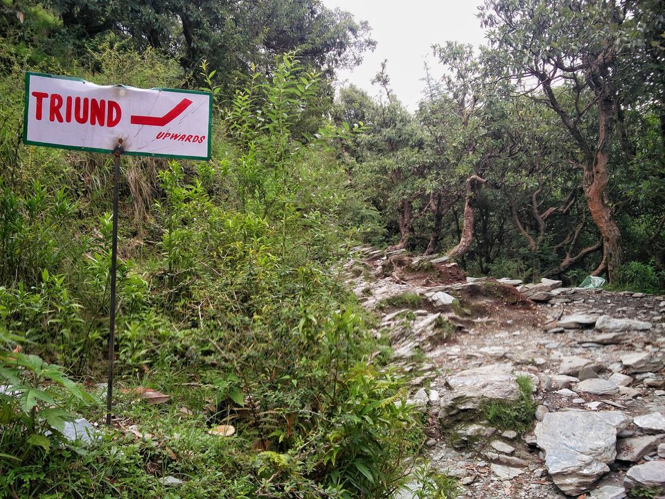 Photo of TRIUND: The reason I fell in love with trekking 3/17 by Puneet