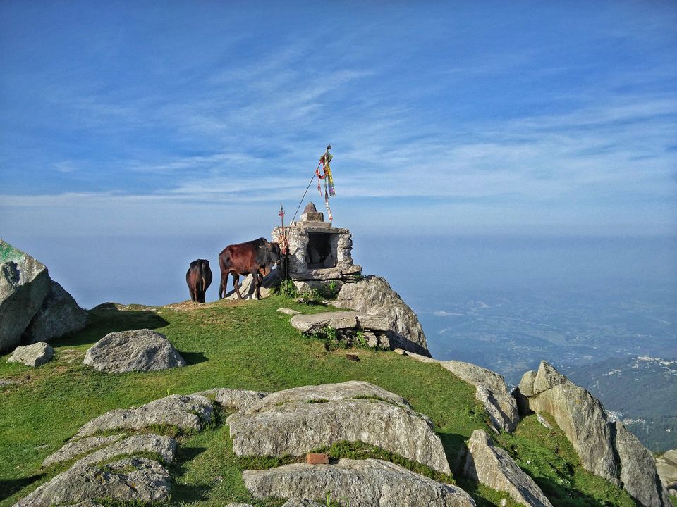 Photo of TRIUND: The reason I fell in love with trekking 16/17 by Puneet