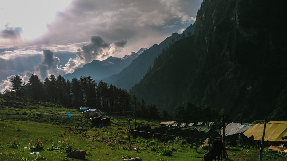 Photo of KHEERGANGA : A trek every beginner wishes to go in Himachal 8/10 by Puneet