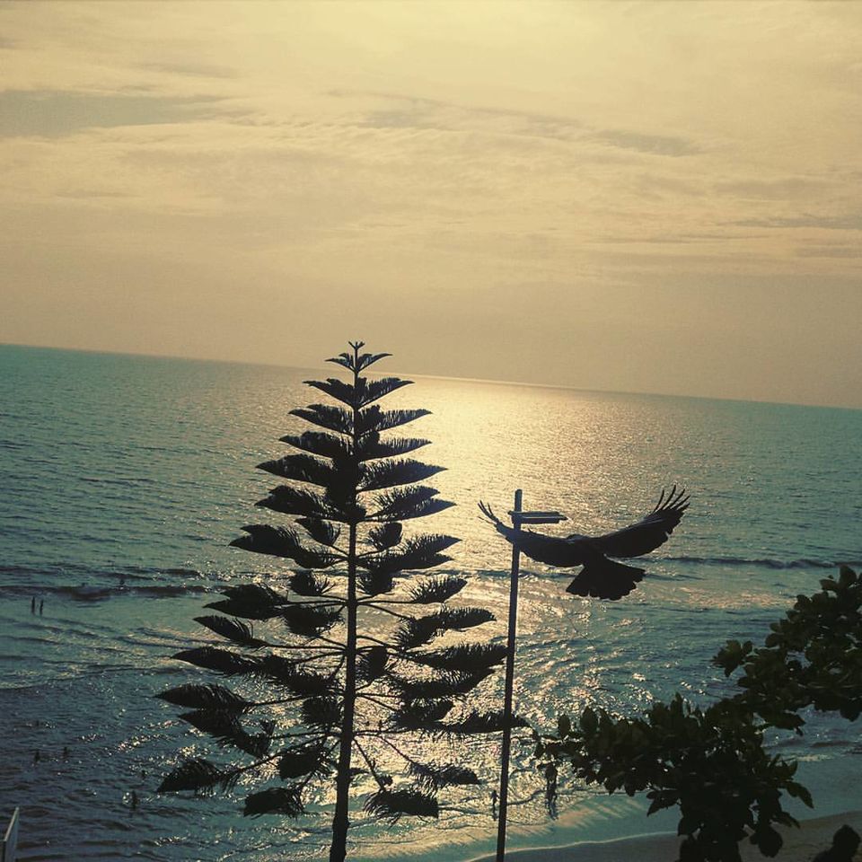 Photo of Finding solace in Varkala 12/13 by Bhavya Murthy