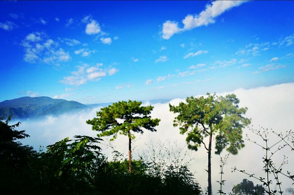 Photo of The journey of my lifetime started with awesome Assam !! by RaHol Sharma