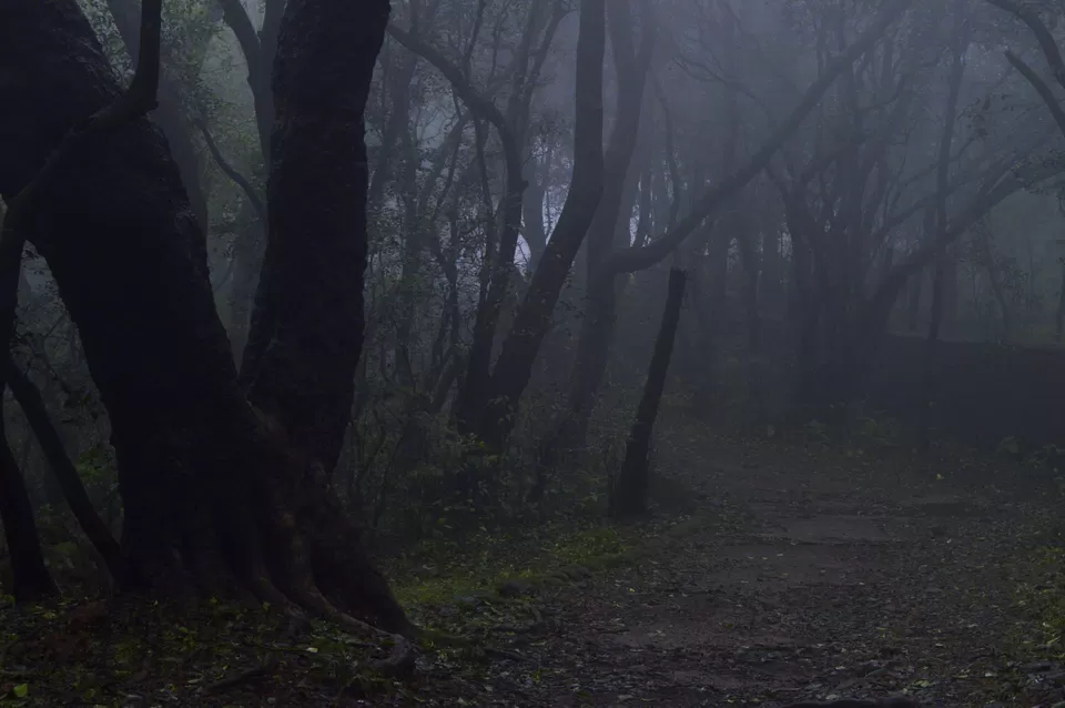Photo of Matheran Eco-sensitive Hill Station, Matheran, Maharashtra, India by RaHol Sharma