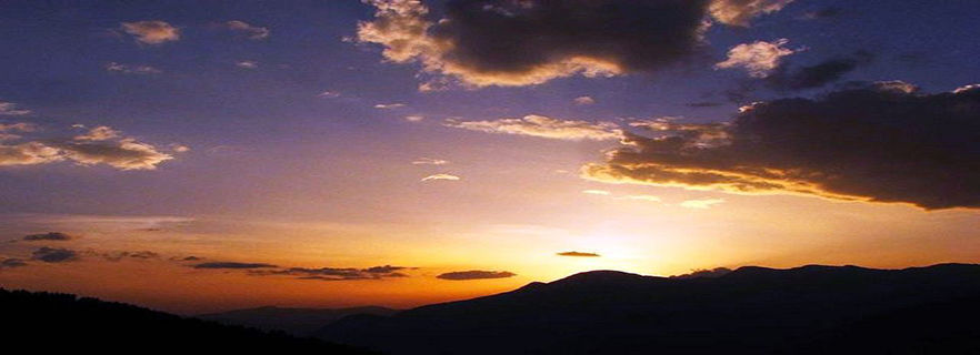 Photo of Top 5 Places to visit in Kasauli 3/5 by RaHol Sharma
