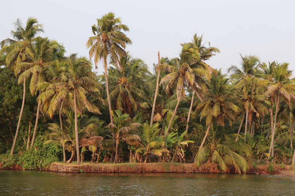 Photo of Varkala , a Beach Paradise in God's own Country . #summerescape #IssSummerBaharNikal by RaHol Sharma