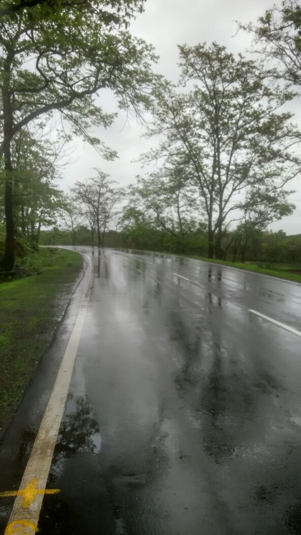 Photo of Throttling in the rains - Malsej Ghat. 12/30 by Omkar Joshi