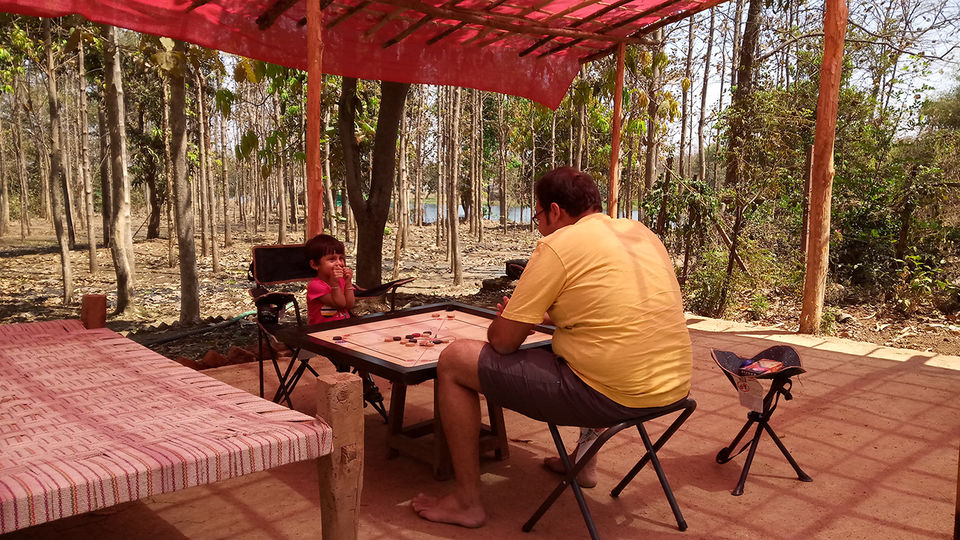 Photo of Escape to the jungle – only 2 hrs away from Mumbai! 1/9 by Sridevi M Patil