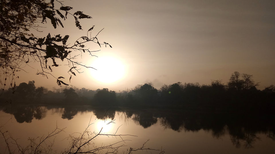 Photo of Escape to the jungle – only 2 hrs away from Mumbai! 6/9 by Sridevi M Patil