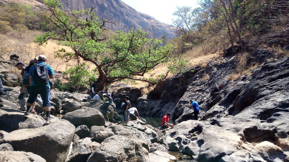 Photo of Devkund!
The Perfect Jungle Escapade.. 4/8 by Sridevi M