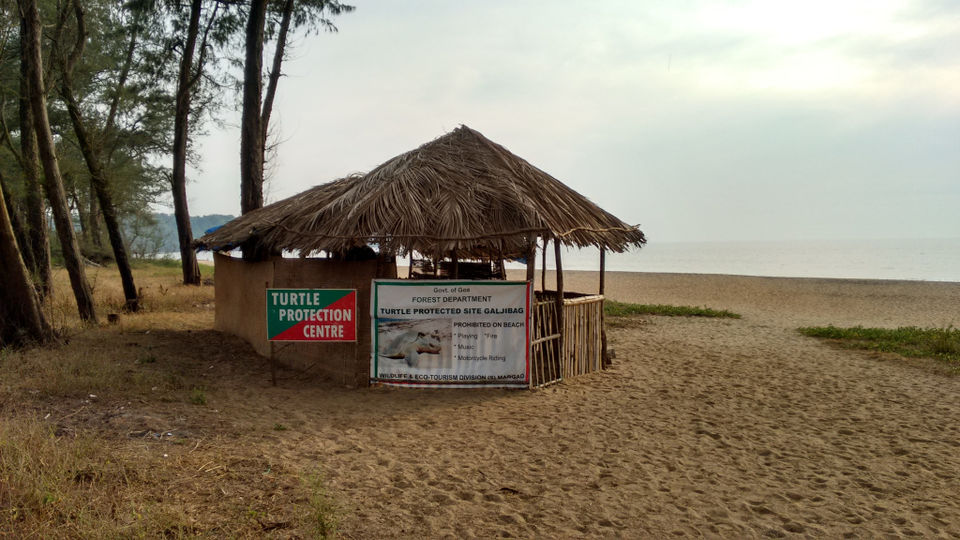 Photo of Goa here, gone tomorrow! 10/11 by Sridevi M