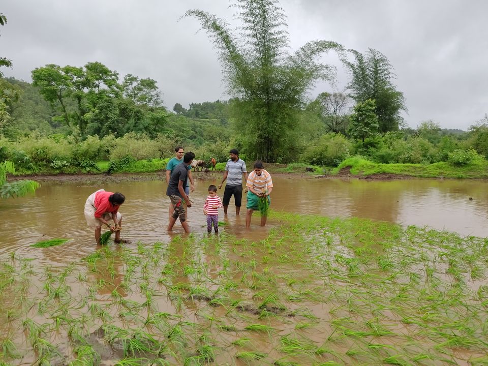 Photo of Dehene Village - A Hidden Monsoon Retreat, just 2.5 hrs from Mumbai 4/5 by Sridevi M