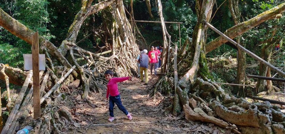 Photo of Forget SOLO, New Year is all about family travels! 3/24 by Sridevi M