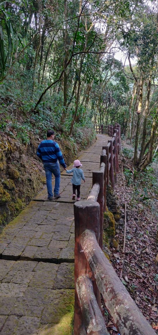 Photo of Forget SOLO, New Year is all about family travels! 6/24 by Sridevi M