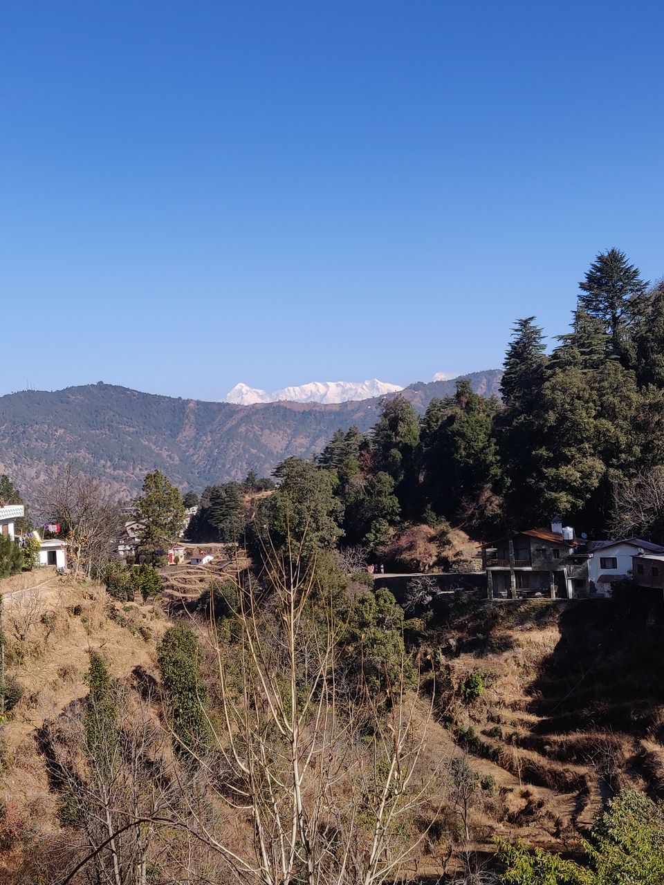 Photo of An affair with the Kumaoni mountains... 23/28 by Sridevi M